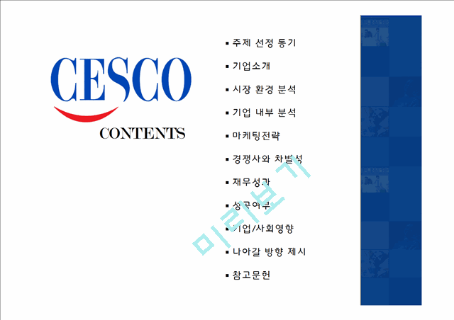 세스코 CESCO 기업분석과 세스코 마케팅 SWOT,STP,4P전략분석및 세스코가 나아가야할 방향제시   (2 )